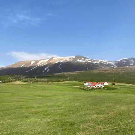 Litla-Sandfell Guesthouse Stora-Sandfell Esterno foto